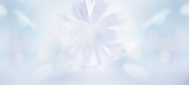 手繪白色花朵淘寶全屏banner背景