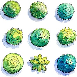 園林手繪樹木元素插畫