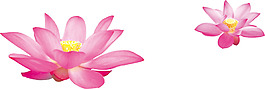 唯美粉色蓮花png元素素材