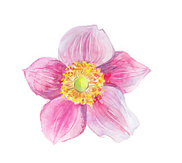粉色水彩蓮花png元素素材