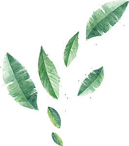 漂浮水彩芭蕉葉png元素素材