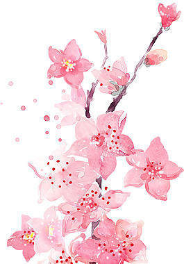 粉色水彩桃花png元素素材