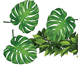 綠色葉子綠植png元素素材