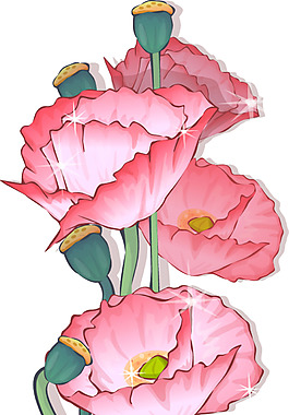 粉色花朵罌粟png元素素材