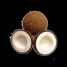 熱帶水果椰子素材