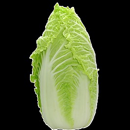 大白菜透明蔬菜