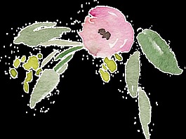 粉色可愛花卉透明素材