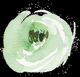 綠色水彩涂鴉花卉透明素材