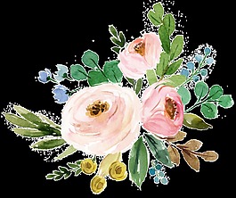 唯美淡雅透明手繪鮮花素材