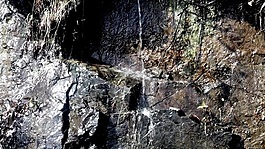 山澗小溪水流視頻