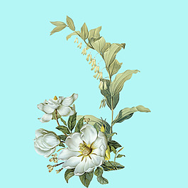 手绘水彩鲜花
