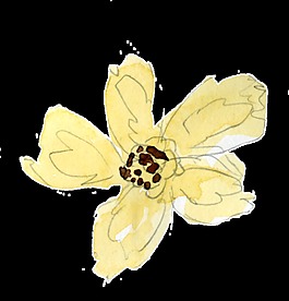水彩花朵裝飾素材