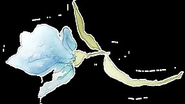 水彩花朵裝飾素材