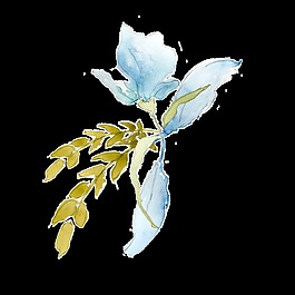 水彩花朵裝飾素材
