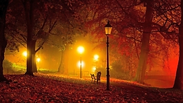 夜晚林间环境贴图