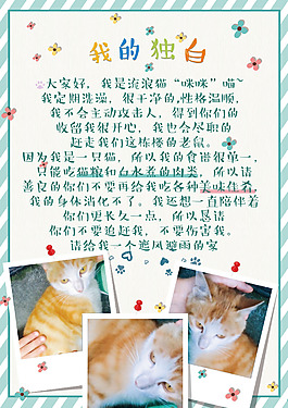 我的獨(dú)白一只流浪展板