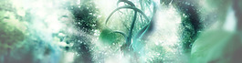 夢幻陽光森林淘寶全屏banner背景