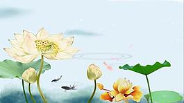 中國風水墨荷花金魚