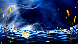 夢(mèng)幻優(yōu)雅水母粒子星空海面婚禮背景