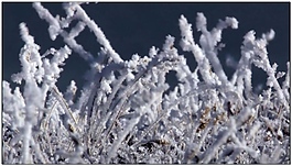 雪景動態(tài)視頻素材