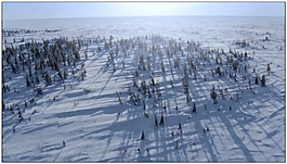 雪景動態視頻素材