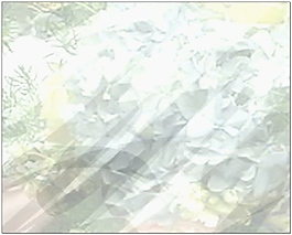 視頻素材婚禮片頭視頻背景素材