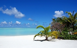 HDR高清海邊植物風(fēng)景貼圖