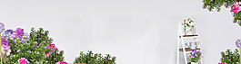 清新簡約白底牡丹淘寶banner背景