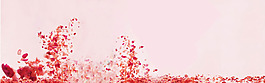 粉色底紋紅色花瓣banner背景