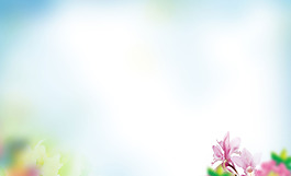 唯美朦朧大氣簡約花朵淘寶banner背景