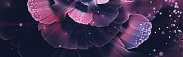 唯美浪漫星空紫色花朵淘寶banner背景