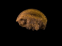 黃色液體變換形態視頻