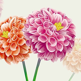 彩色花球花束裝飾畫
