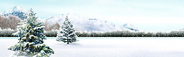 浪漫雪花松树背景