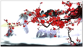 水墨梅花视频素材