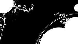 黑白花紋生長變換視頻素材