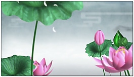 竹露荷風(fēng)背景素材