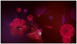 節(jié)日花朵中國紅視頻素材