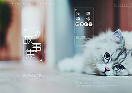蝴蝶装A4喵星人文艺清新小猫画册