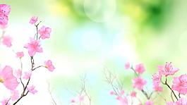粉色卡通鮮花綠地動(dòng)畫誕視頻素材