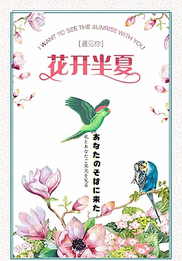 花開半夏鸚鵡海報