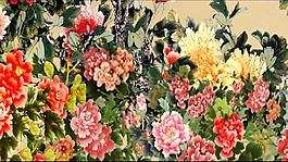 中國風(fēng)彩色花團(tuán)錦簇背景大屏視頻素材