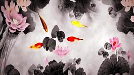 國風(fēng)彩色水墨荷花小魚背景大屏視頻素材