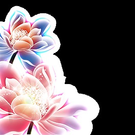 中秋荷花