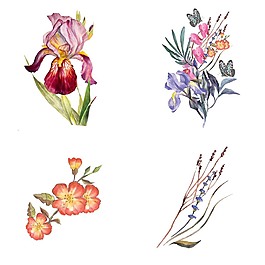 唯美手繪花朵插畫(huà)