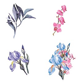水彩繪時(shí)尚花朵插畫(huà)