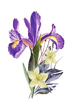 水彩繪美麗的花朵插畫