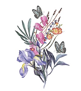 水彩繪美麗的花朵和蝴蝶插畫