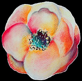 精致花卉裝飾素材