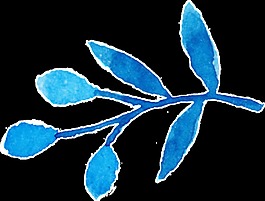 蓝色手绘花朵装饰素材